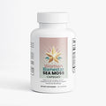 Sea Moss